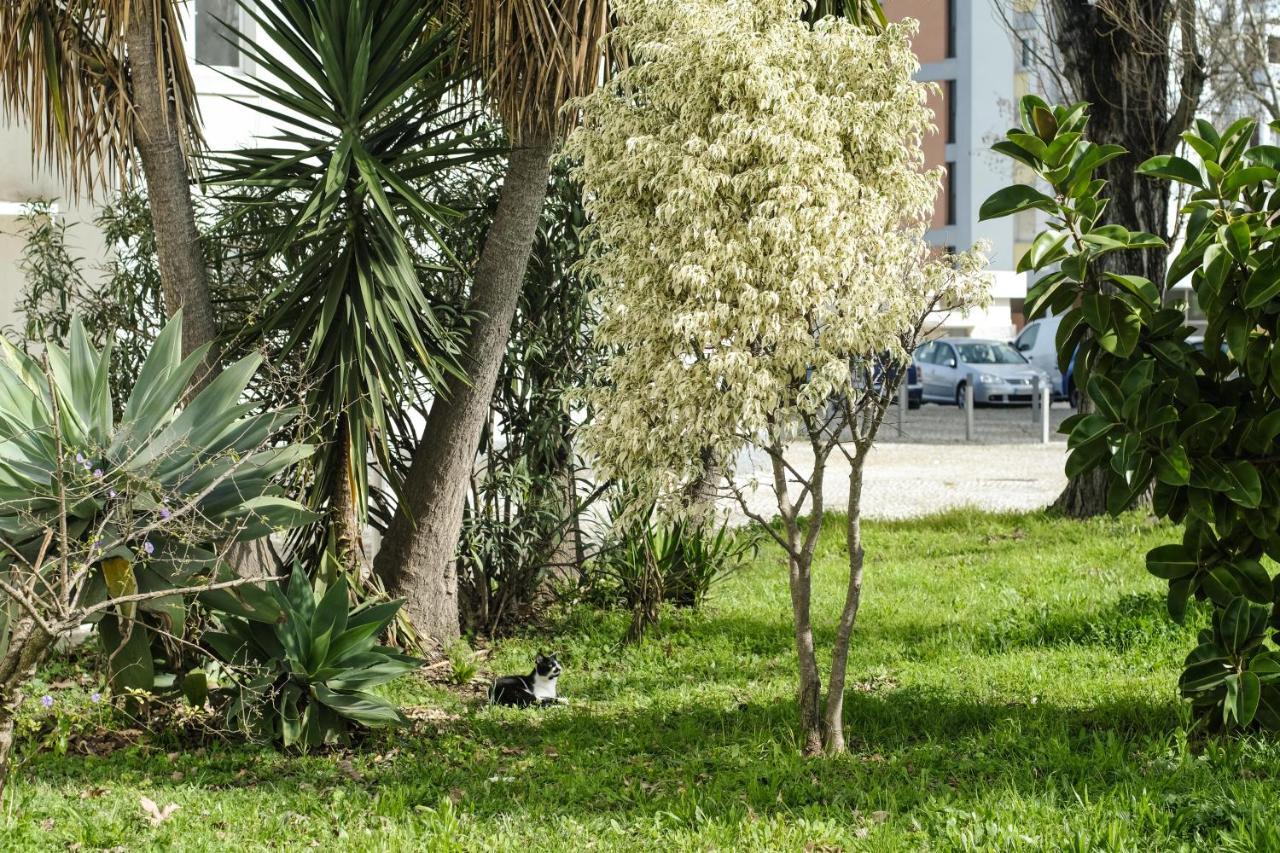 Olive Grove Apartment By Trip2Portugal Lisboa Exterior foto